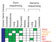 The (R)evolution of Cancer Genetics