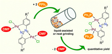 Paper by RBI Scientists Published in Chemical Communications