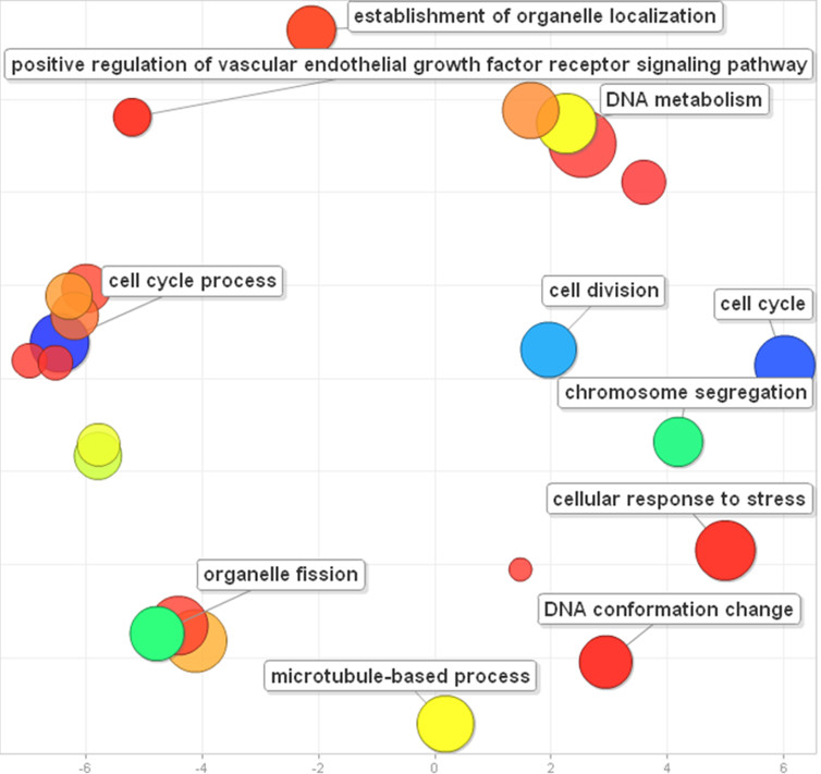 REVIGO – New Web Service for Researchers in Biology and Biomedicine