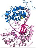 'Ruđerovi' znanstvenici doprinijeli razjašnjenju prototipske strukture proteina