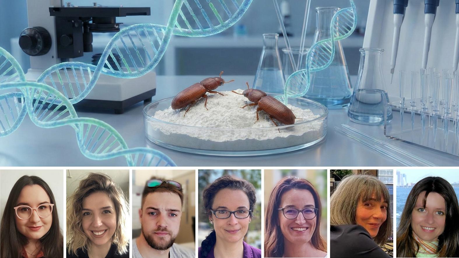 Satelitna DNA - zanemarena infrastruktura genoma