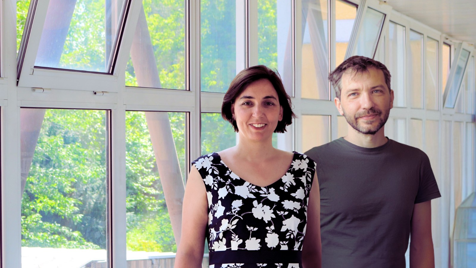 What happens at the moment of collision? Scientists show for the first time how impacts in a mill trigger chemical reactions