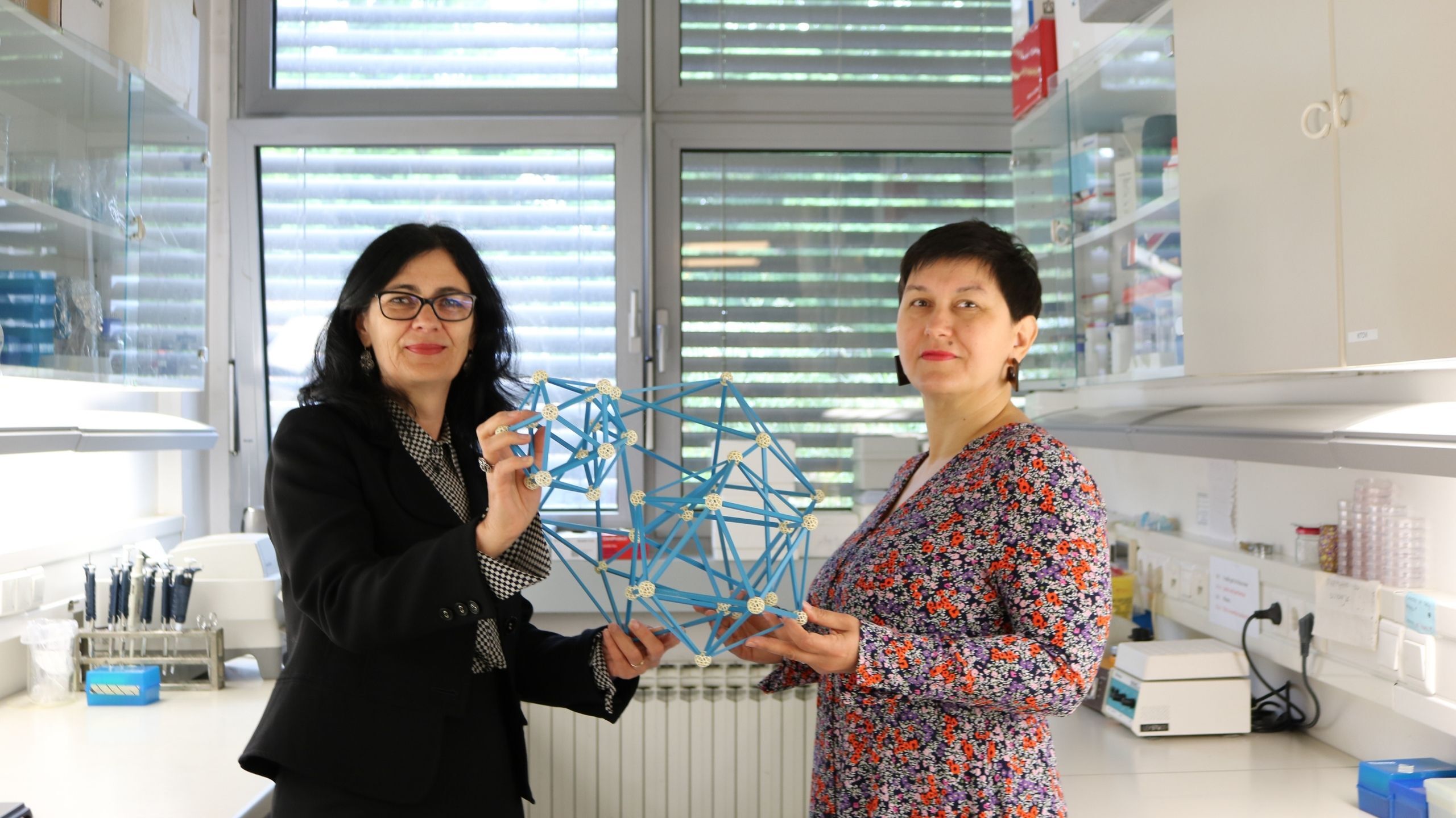 VirusHunterice, IRBove lovkinje na viruse