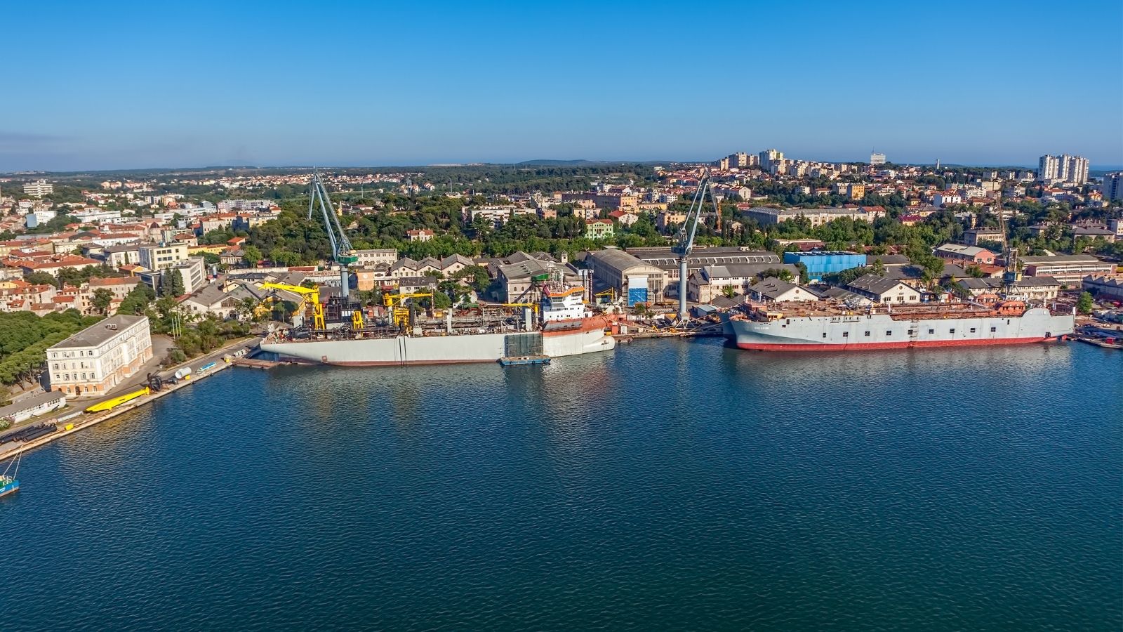 Uloga bakterija u održavanju zdravlja morskih sedimenta