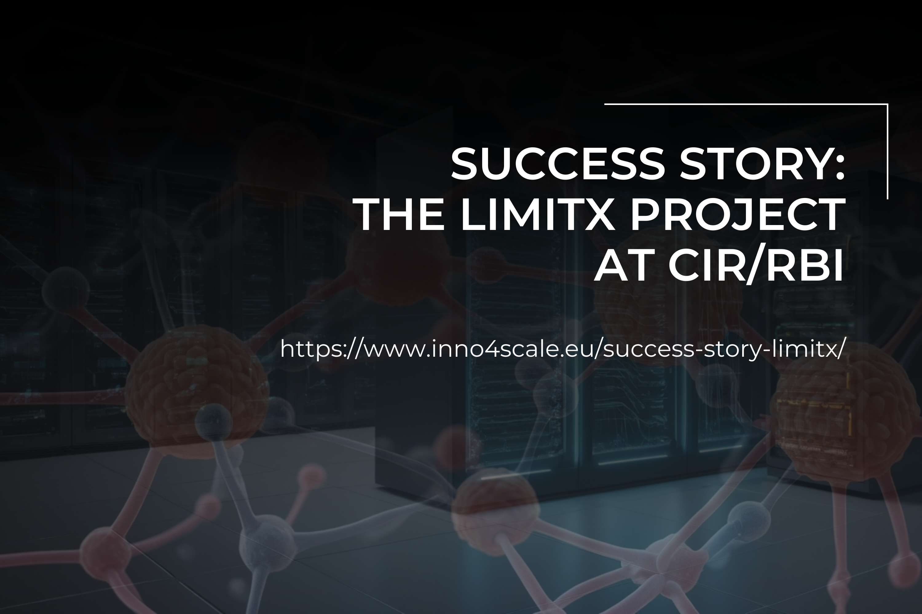 Success Story: The LimitX Project at the Centre for Informatics and Computing, Ruđer Bošković Institute
