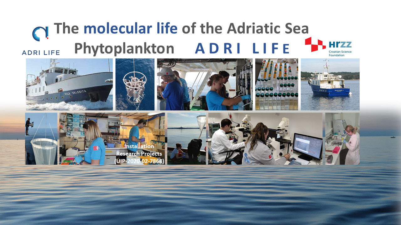 Molekularne životne strategije fitoplanktona u Jadranu ADRI life