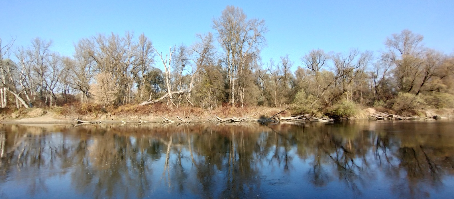 Diffuse riverine ecosystem pollution: from nano contamination to biological and ecological effects (BeDIFFERENCE)