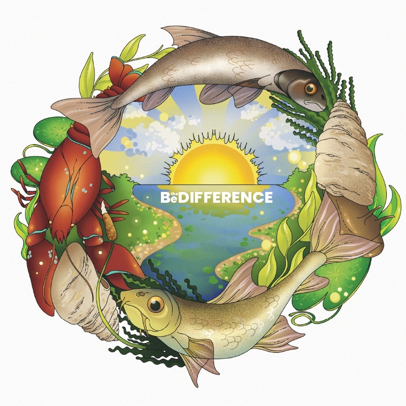 Diffuse riverine ecosystem pollution: from nano contamination to biological and ecological effects (BeDIFFERENCE)