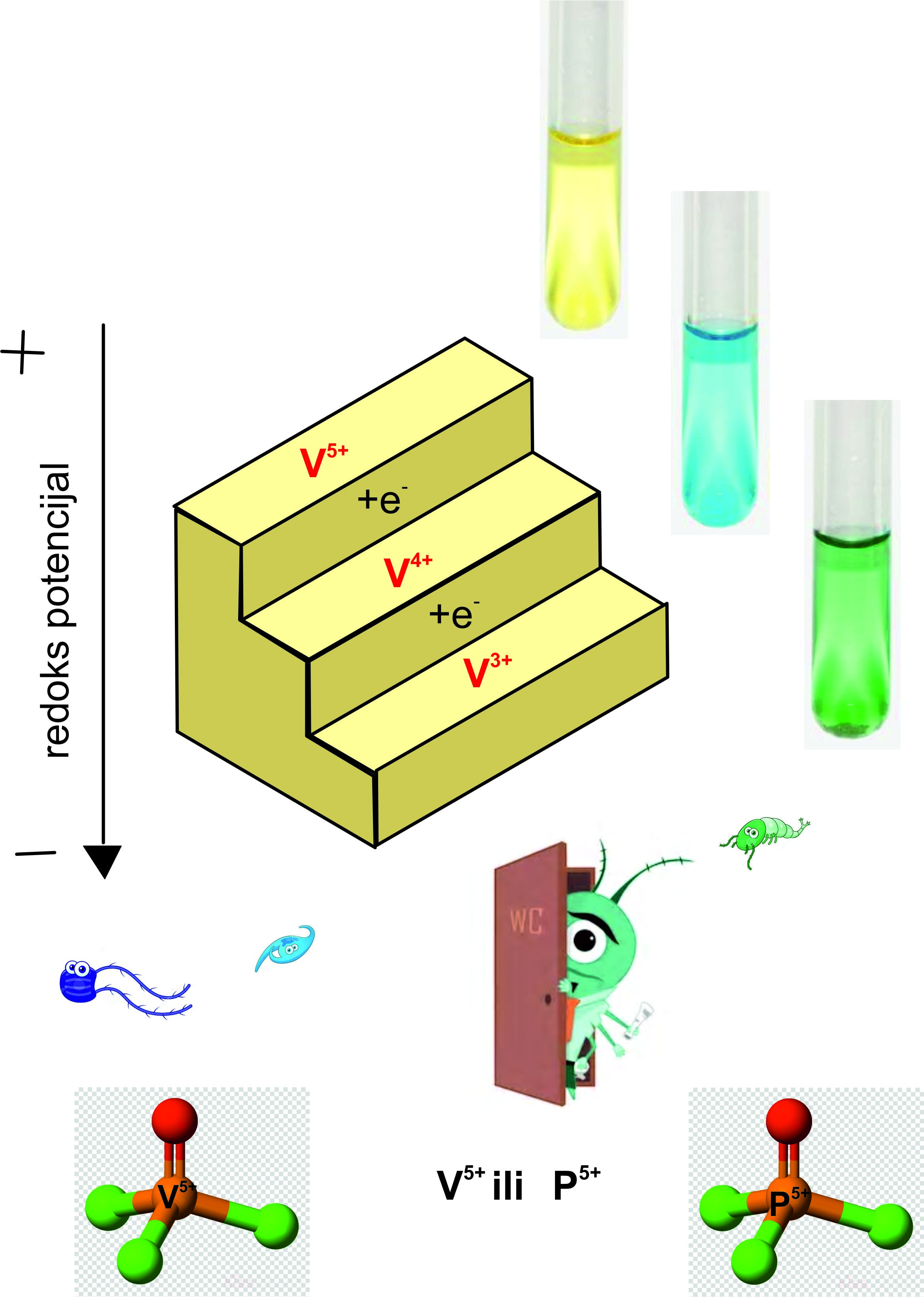 REDOX - Geochemistry and redox proxie’s signature under the diverse environmental conditions: towards better understanding of the past redox