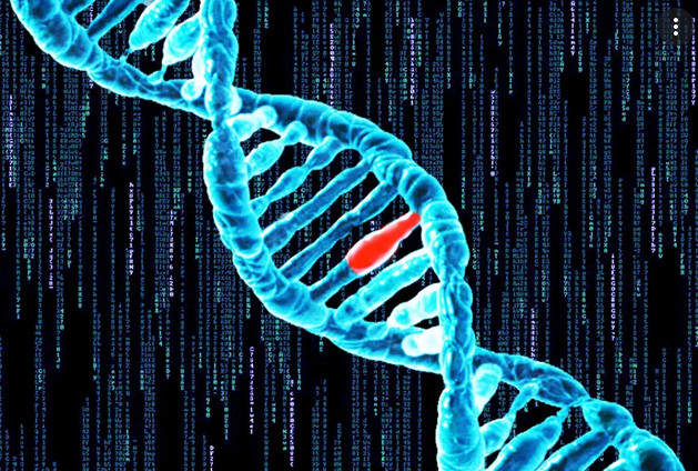 Grupa M. Popović – DNA repair
