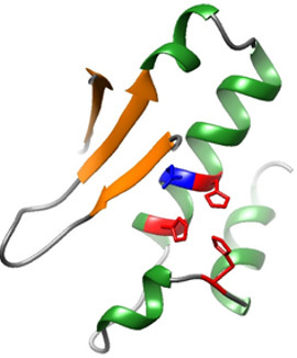 DNAPRO - Deciphering DNA-Protein Crosslink Repair in vivo using zebrafish model