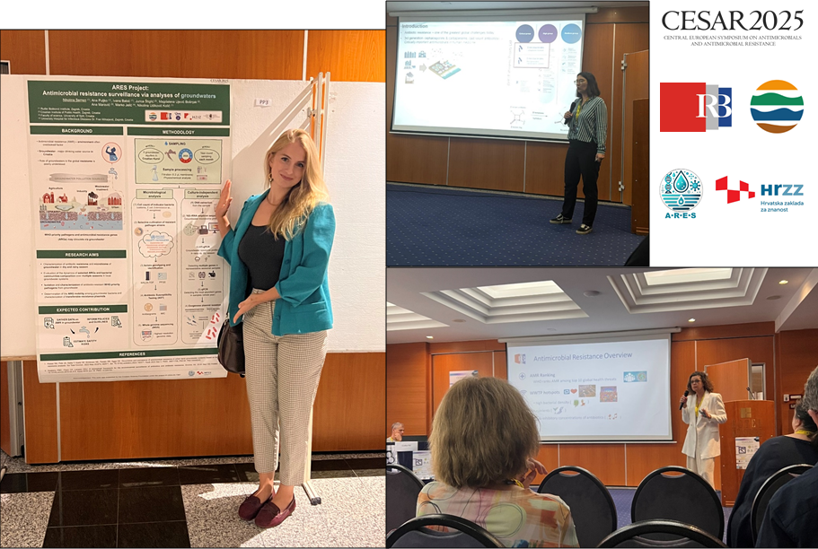 Diseminacijske aktivnosti