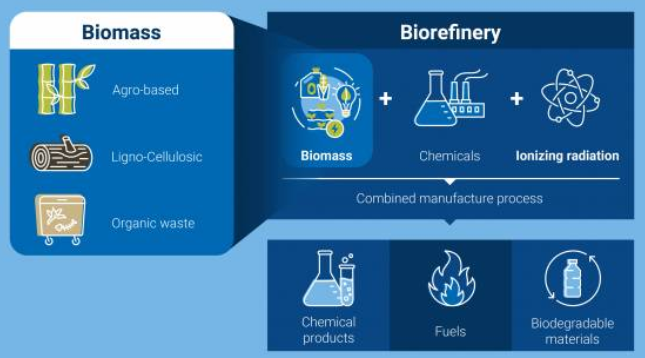 Coordinated Research Project: Innovative production of novel biocomposite based on bacterial nanocellulose from biowaste using radiation technology