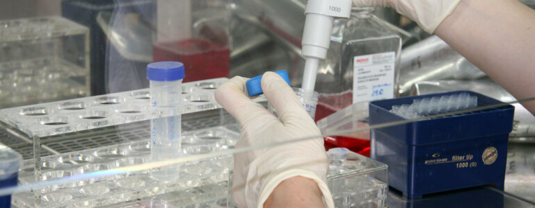 Division of Molecular Medicine