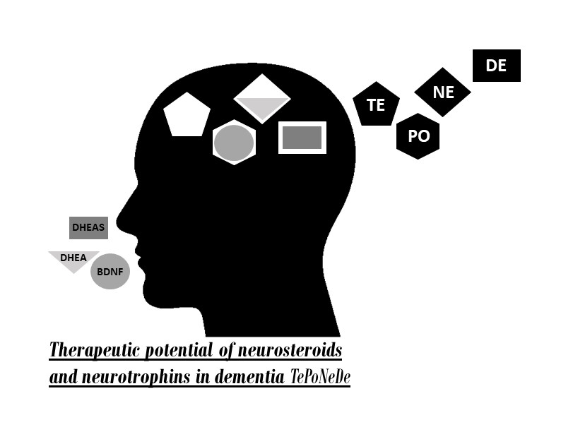 Terapijski potencijal neurosteroida i neurotrofina u demenciji