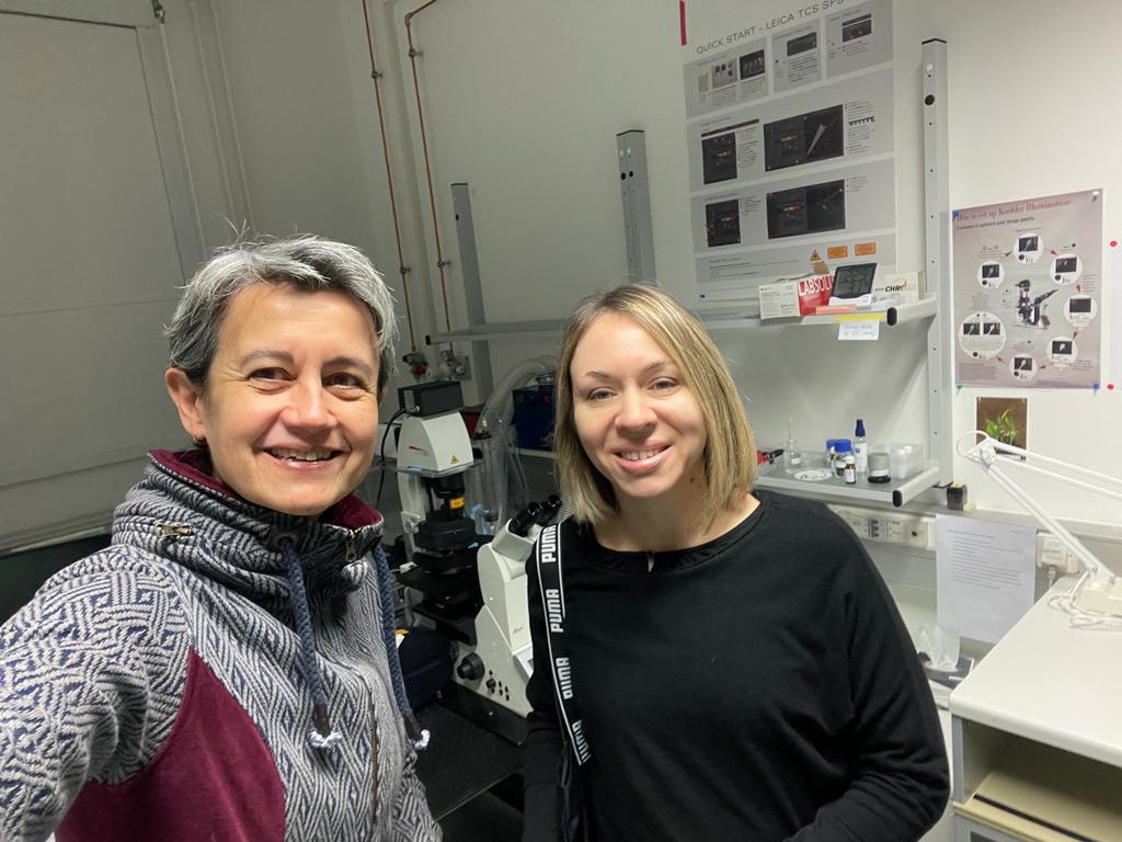 Dr Bakarić visits Potsdam lab